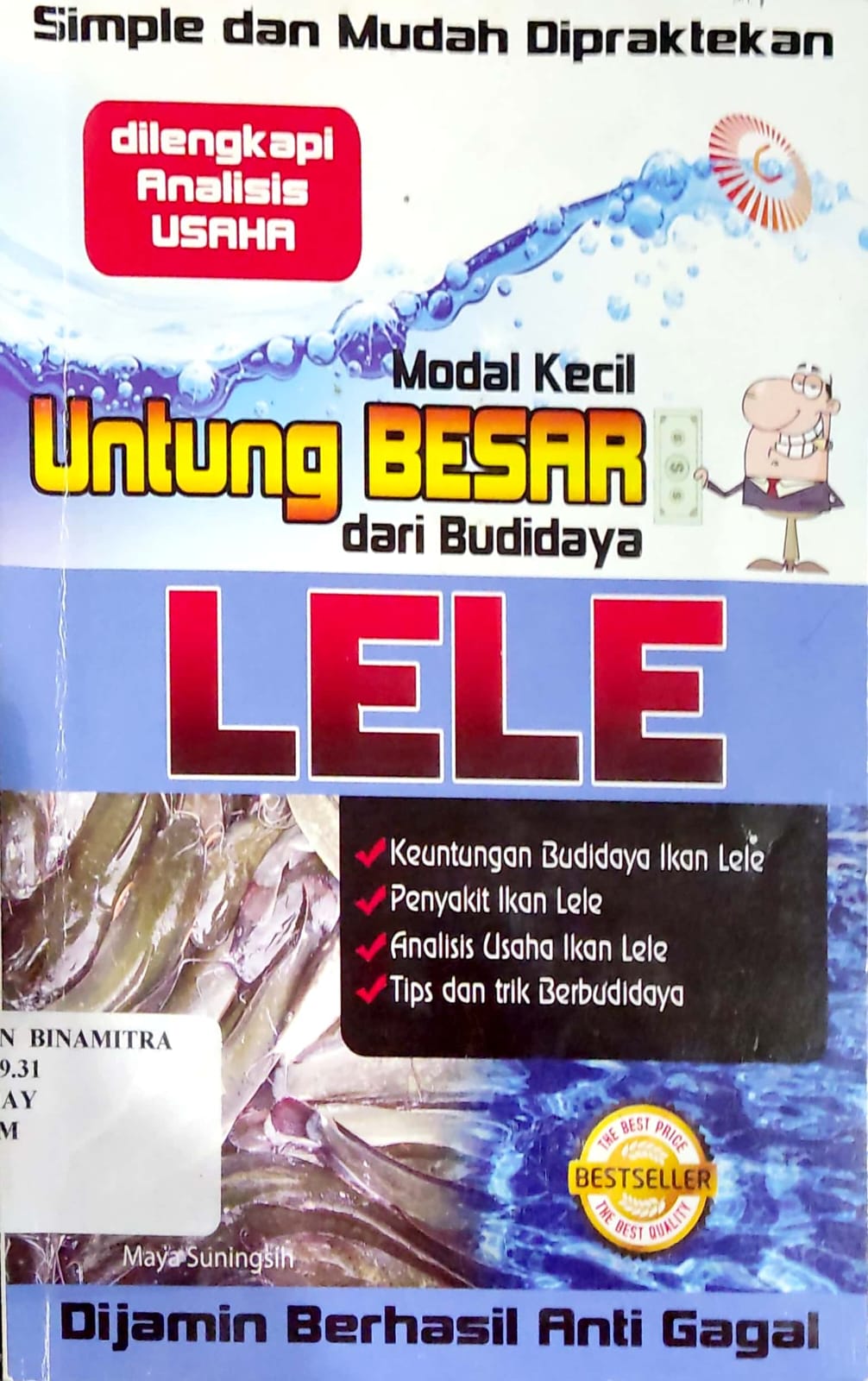 Modal Kecil Untung Besar dari Budidaya Lele