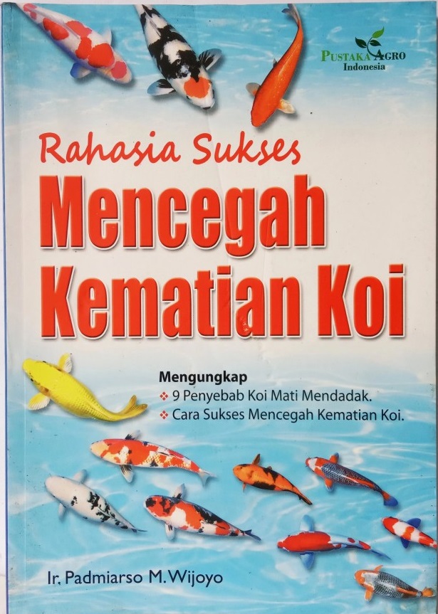 Rahasia sukses mencegah kematian koi
